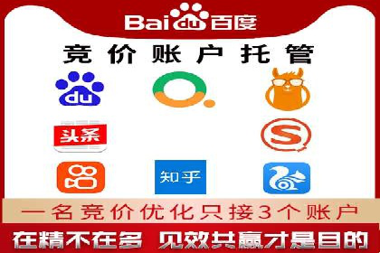 竞价推广策略：某电商平台的成功案例